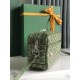 Goyard Cap-Vert Three color Y-shaped pattern Camera bag