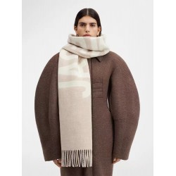 2024 autumn and winter new jacquemus wool scarf letter jacquard logo tassel shawl unisex scarf