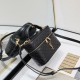 YSL Mini Gaby Saint Laurent Same style as Rose Sheepskin crossbody handbag Double zipper dressing bag